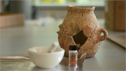 Olive Oil Traces Dating Back 8,000 Years Found in Israel